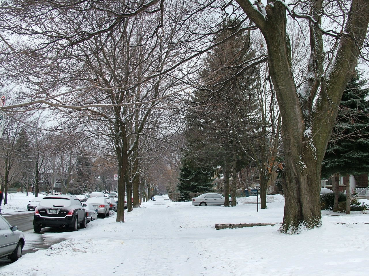 Toronto Winter Neighborhood - Toronto Wallpaper Snow - HD Wallpaper 
