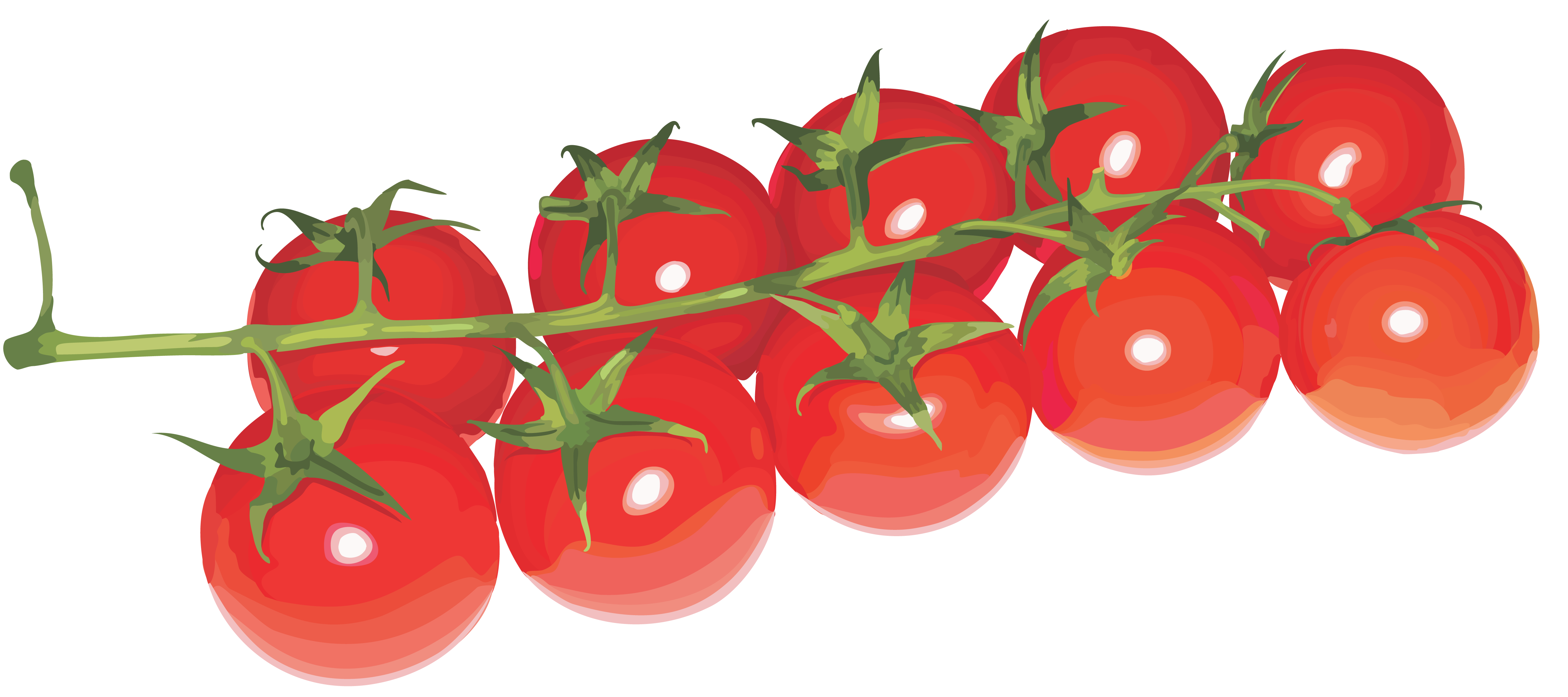 Tomatoes, Wallpaper For Your Desktop, Nk/62 - Cherry Tomato Transparent - HD Wallpaper 