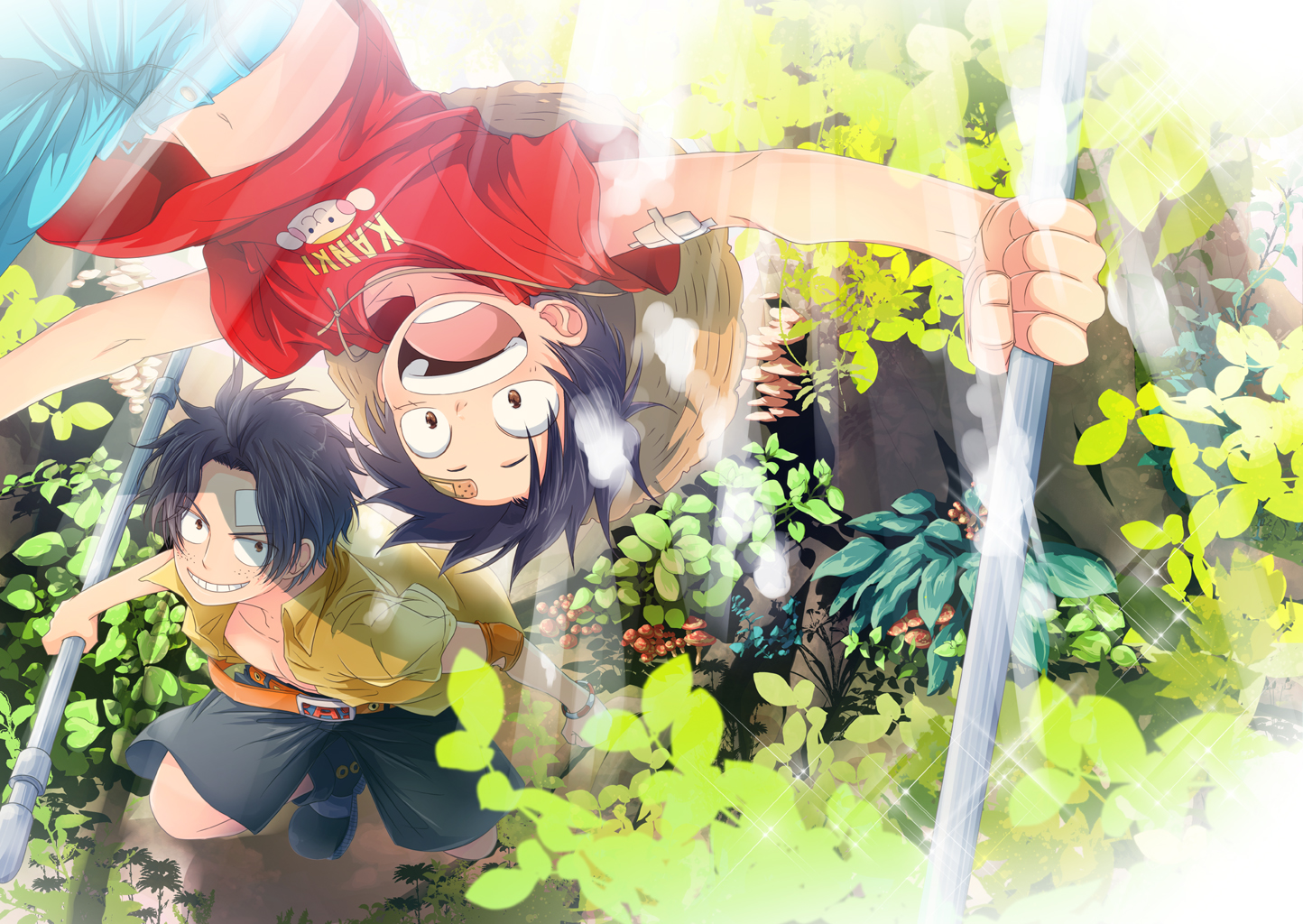 One Piece Ace Et Luffy - HD Wallpaper 