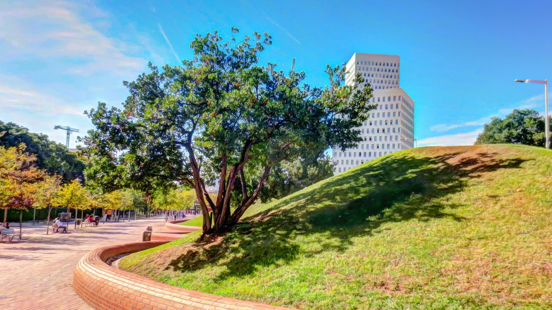 Free Download Garden Wallpaper Id - Tree - HD Wallpaper 