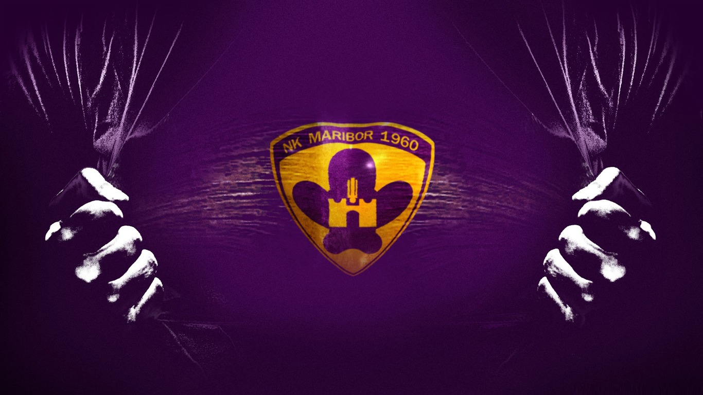 Maribor -football Related Desktop Pictures Wallpaper2011 - Nk Maribor - HD Wallpaper 