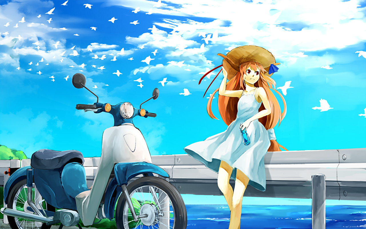 Anime Summer Girl Seagulls - HD Wallpaper 