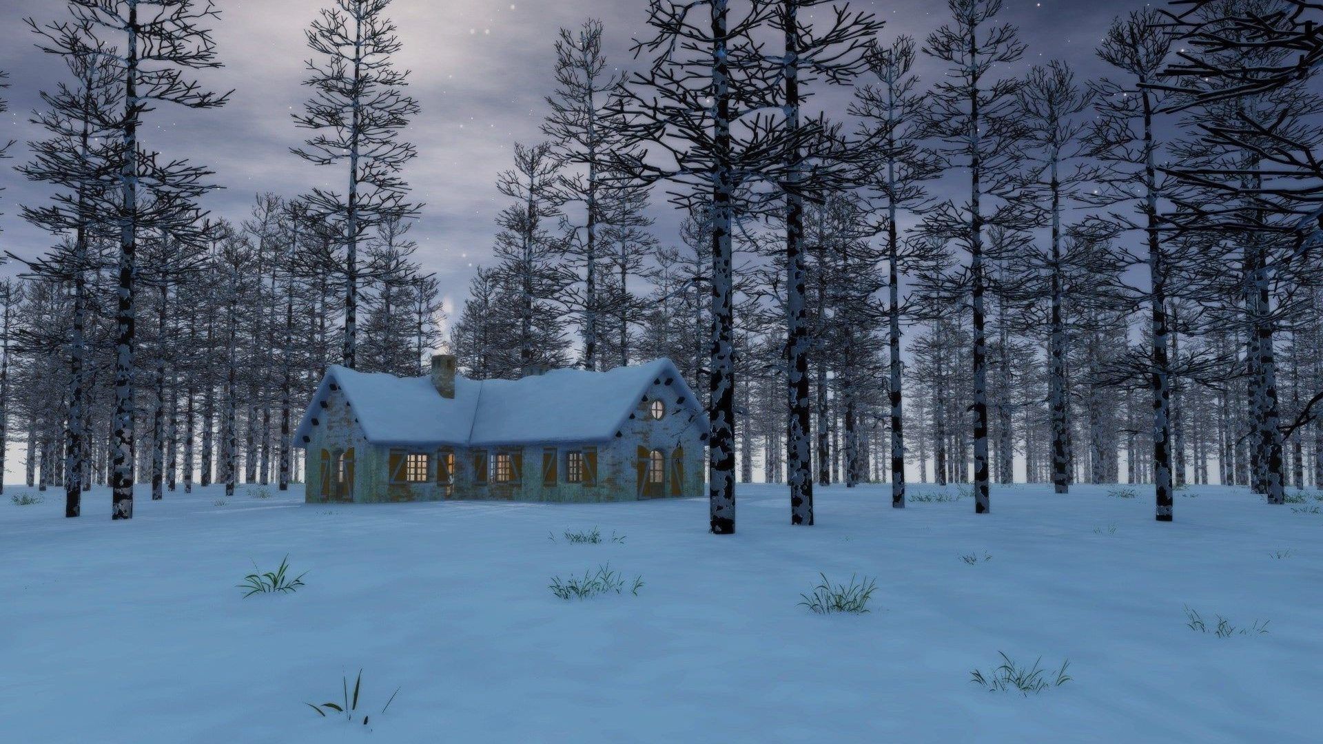 Snow In The Forest - HD Wallpaper 
