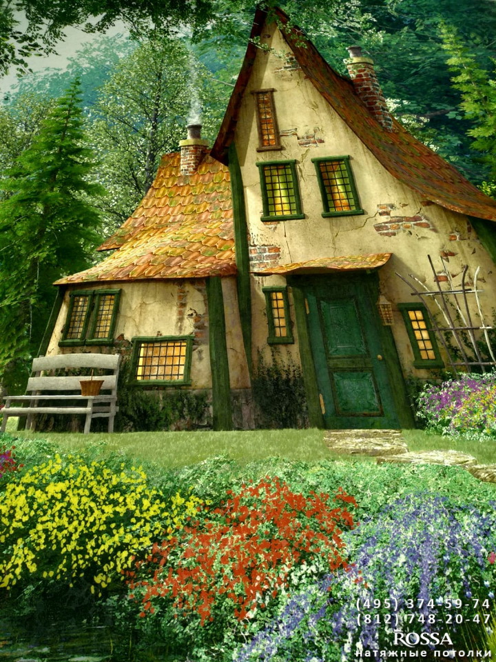 Viola - HD Wallpaper 