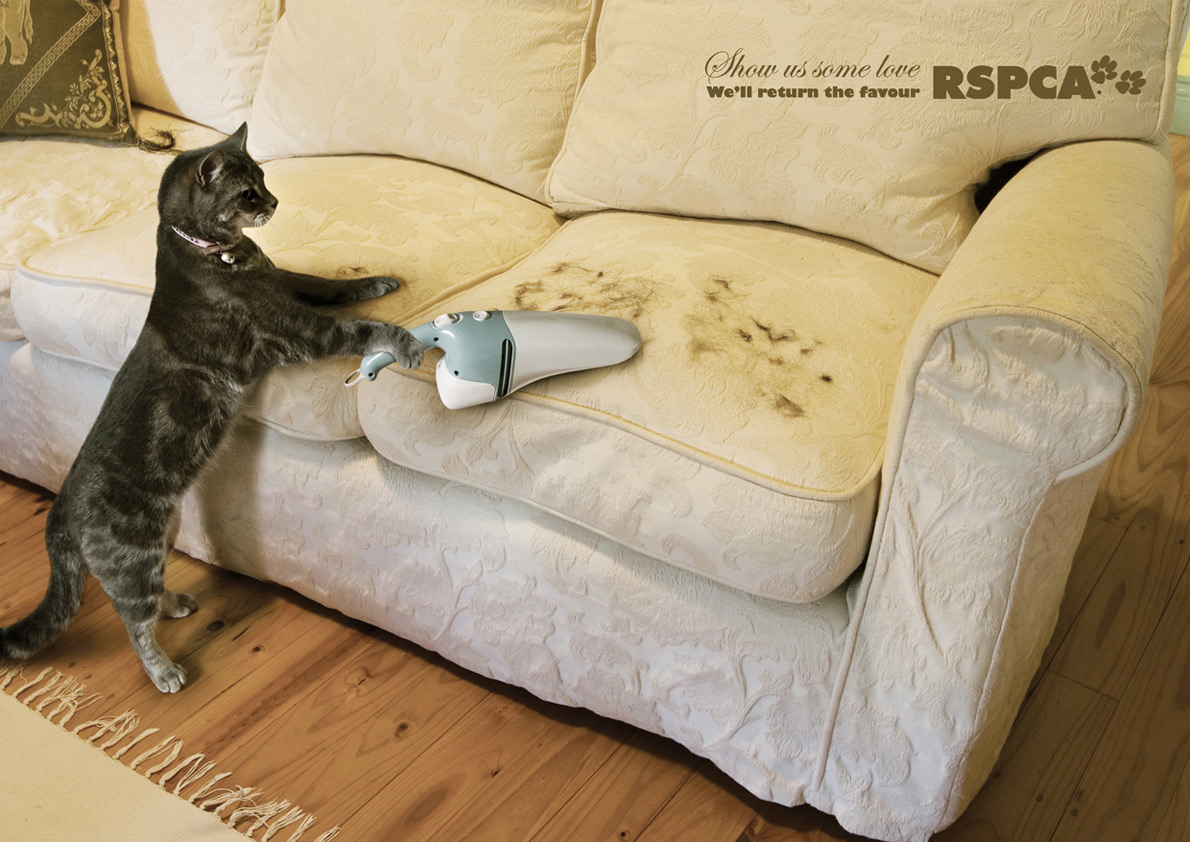 Show Us Some Love Rspca - HD Wallpaper 