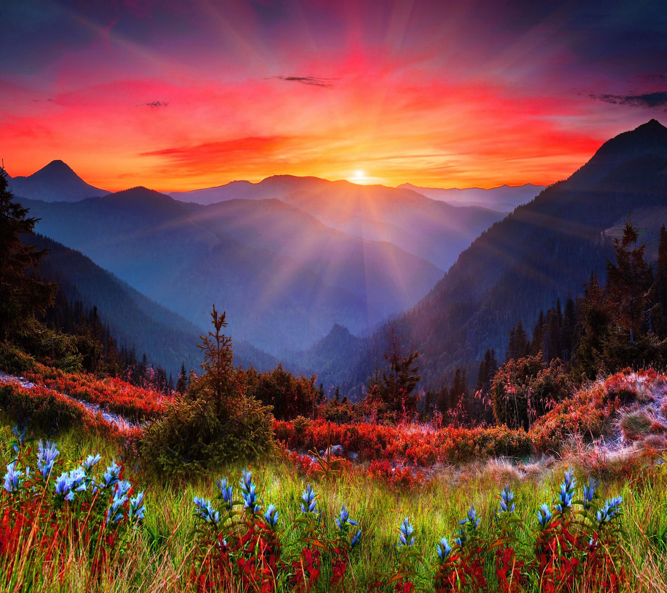 Mountain Sunrise Painting - HD Wallpaper 