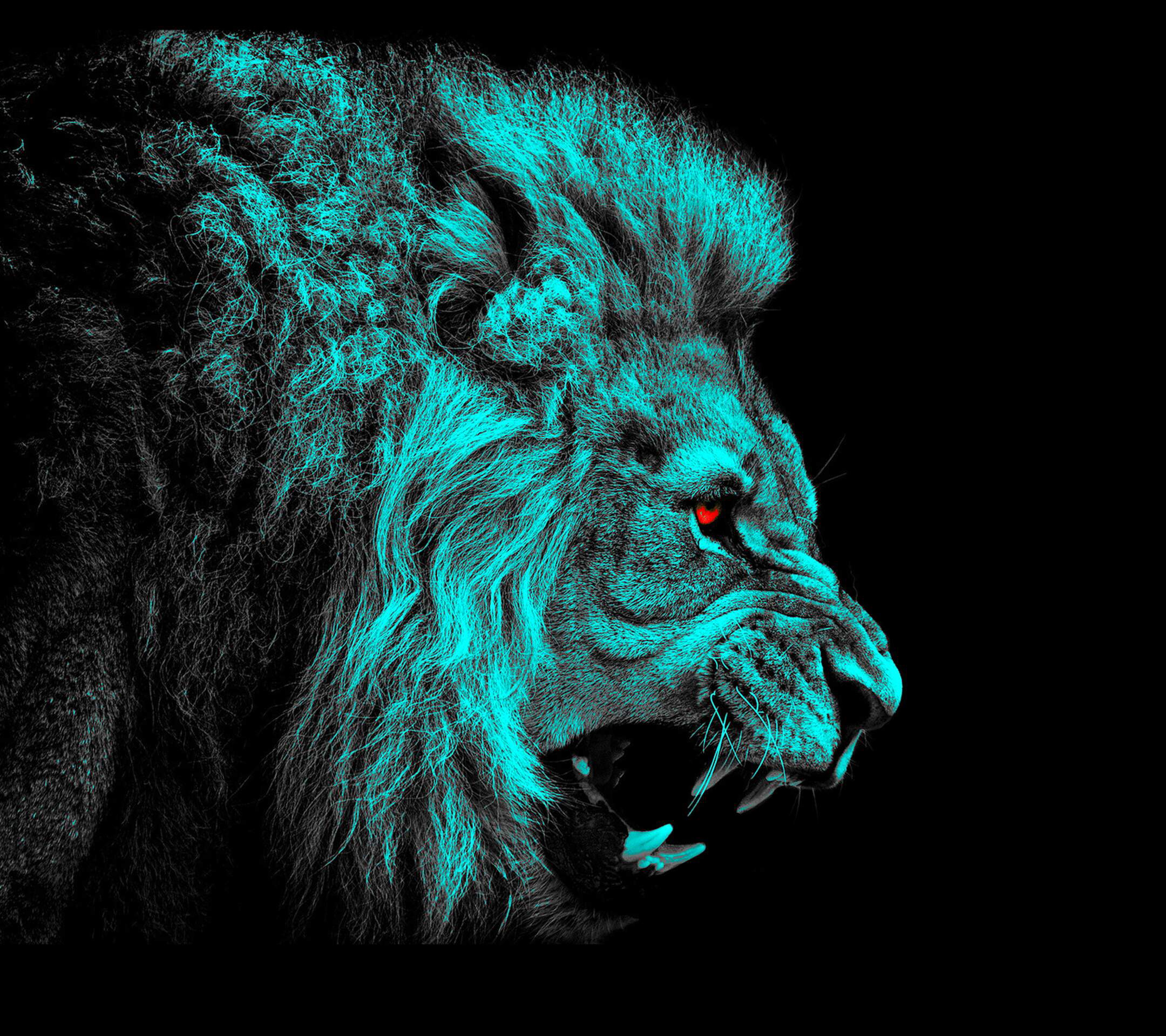 Background Lion Images Hd - HD Wallpaper 