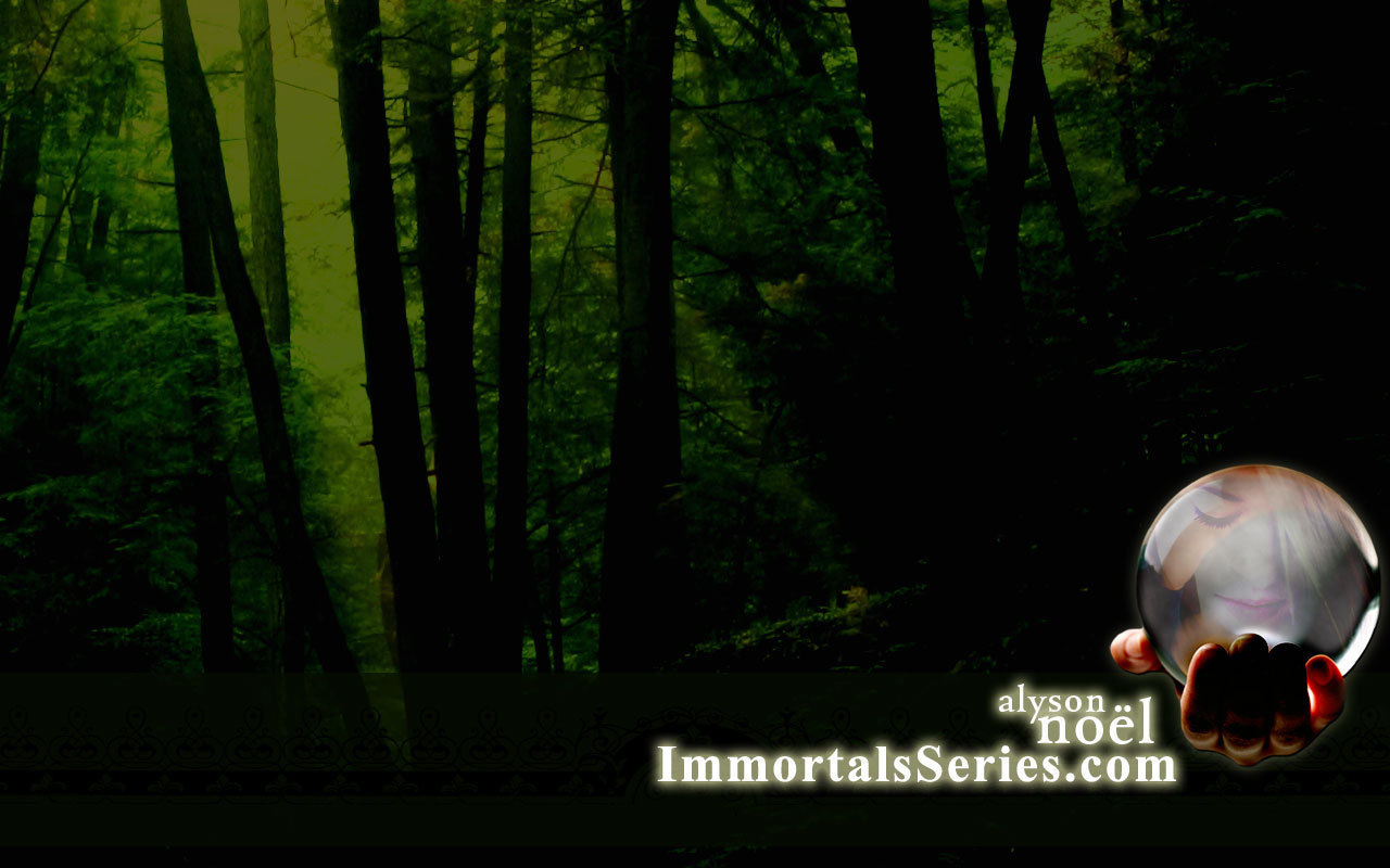 Immortals Wallpaper - Old-growth Forest - HD Wallpaper 