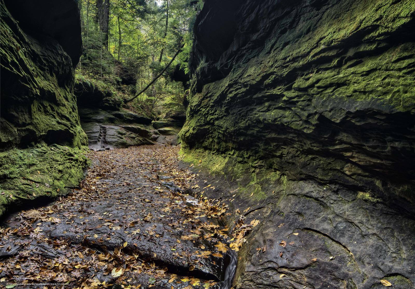 Download Wallpaper Turkey Run State Park, Indiana, - Autumn - HD Wallpaper 