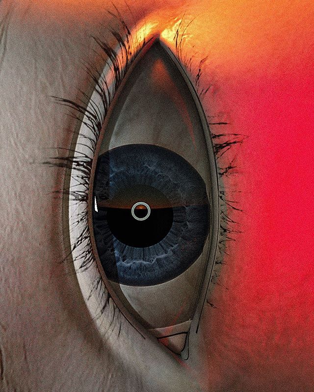 Close-up - HD Wallpaper 