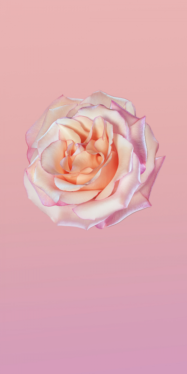 Iphone 11 Wallpaper Simple 600x1200 Wallpaper Teahub Io