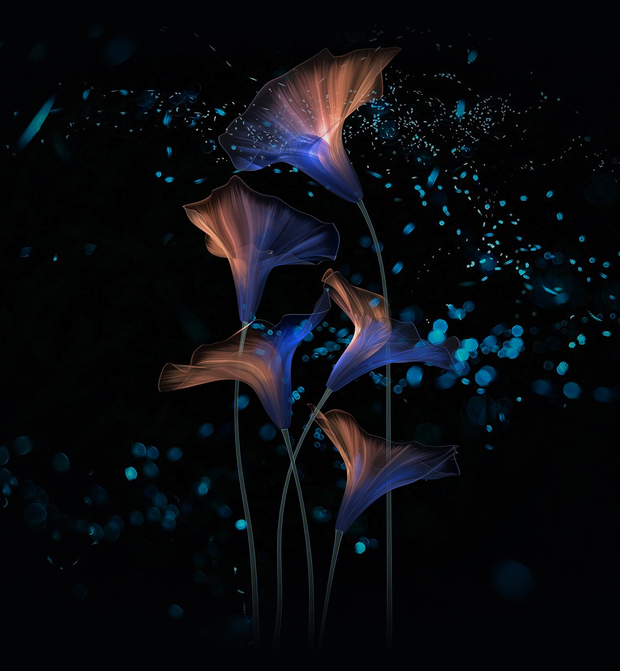 Honor Magic 2 Wallpaper Ardroiding - Papel De Paredes Do Honor Magic 2 Em Alta Qualidade - HD Wallpaper 