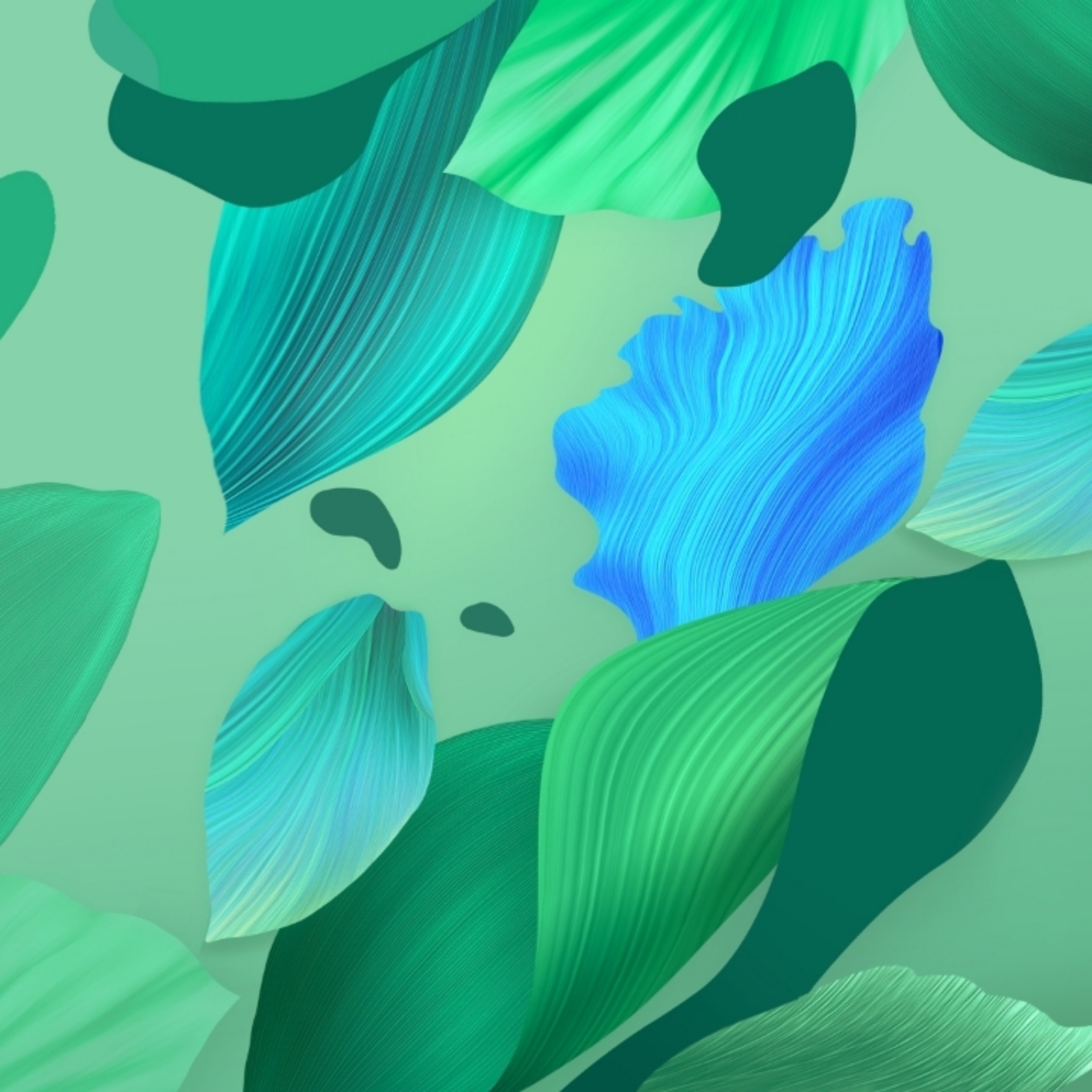 Huawei Nova 5 Pro - HD Wallpaper 