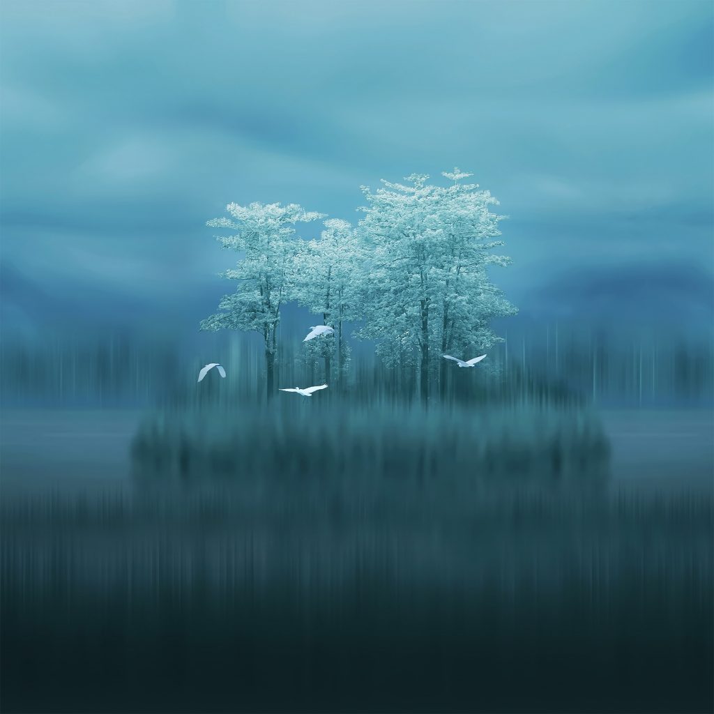 Huawei Mate 10 Pro - HD Wallpaper 