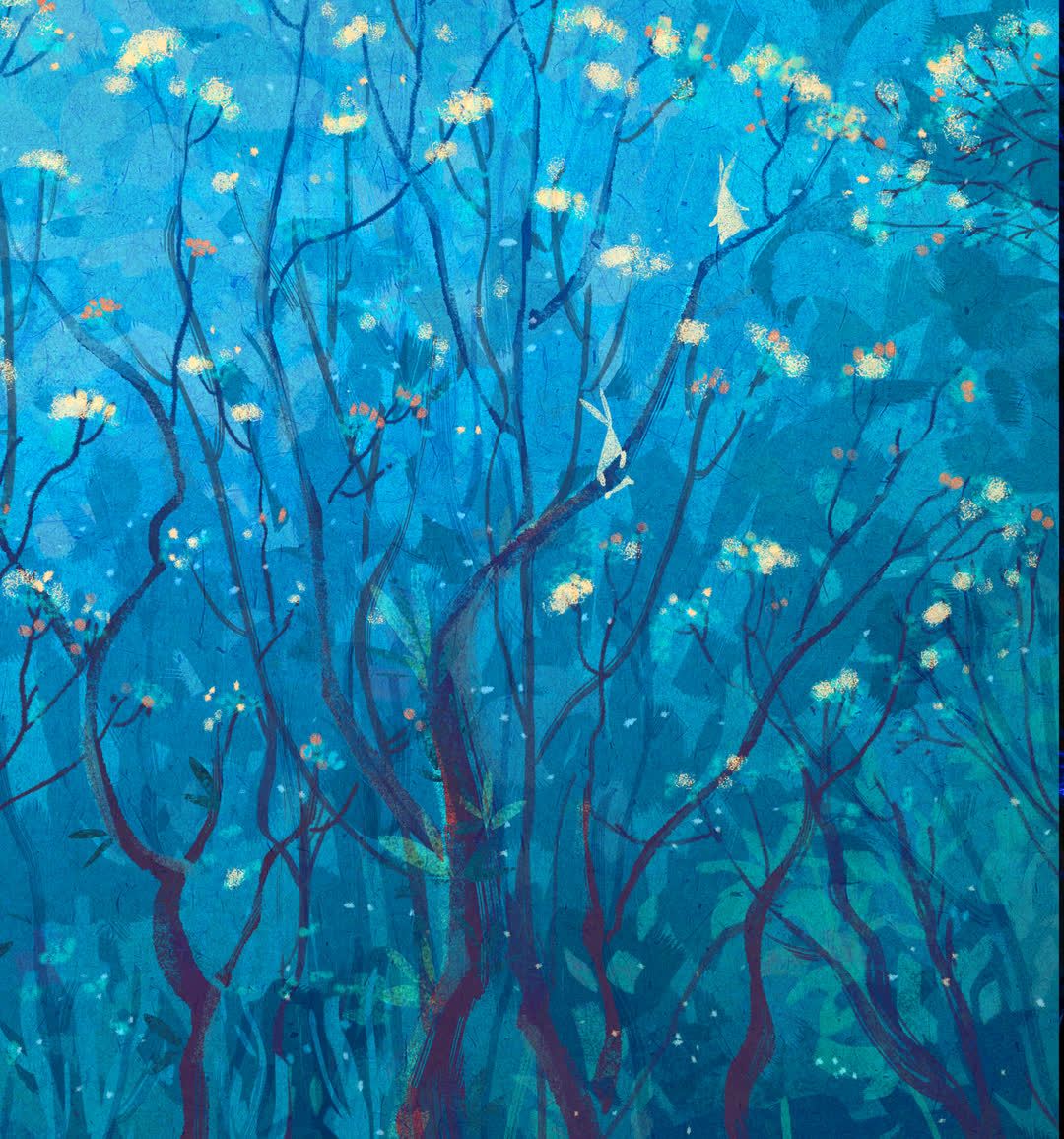 Huawei Nova 4 Stock Wallpapers - Hd Huawei Nova 4 - HD Wallpaper 