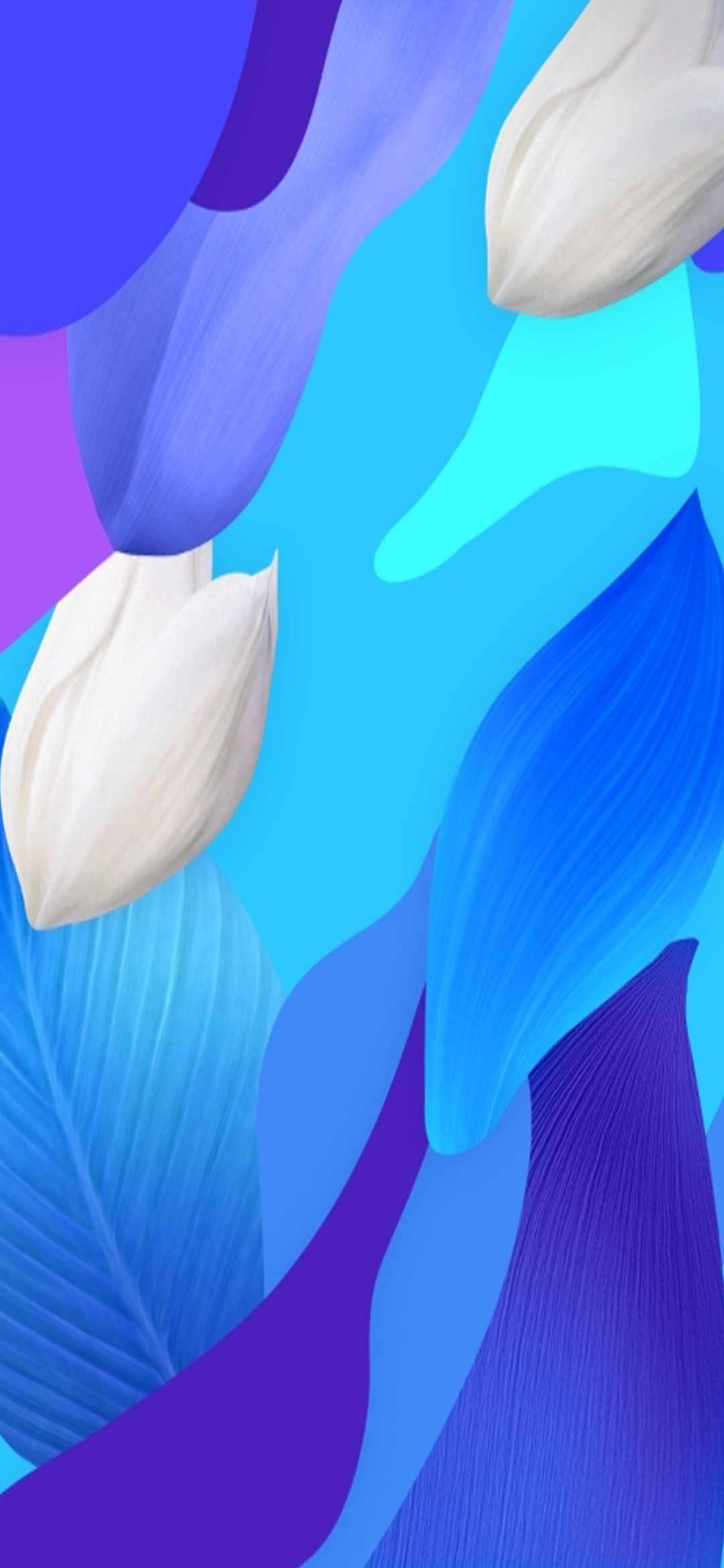 Huawei Nova 5 Pro - HD Wallpaper 