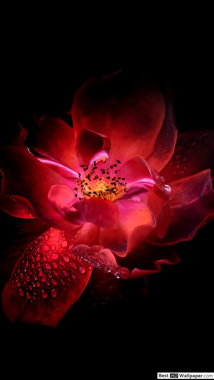 Karushanti Reiki Healing - HD Wallpaper 