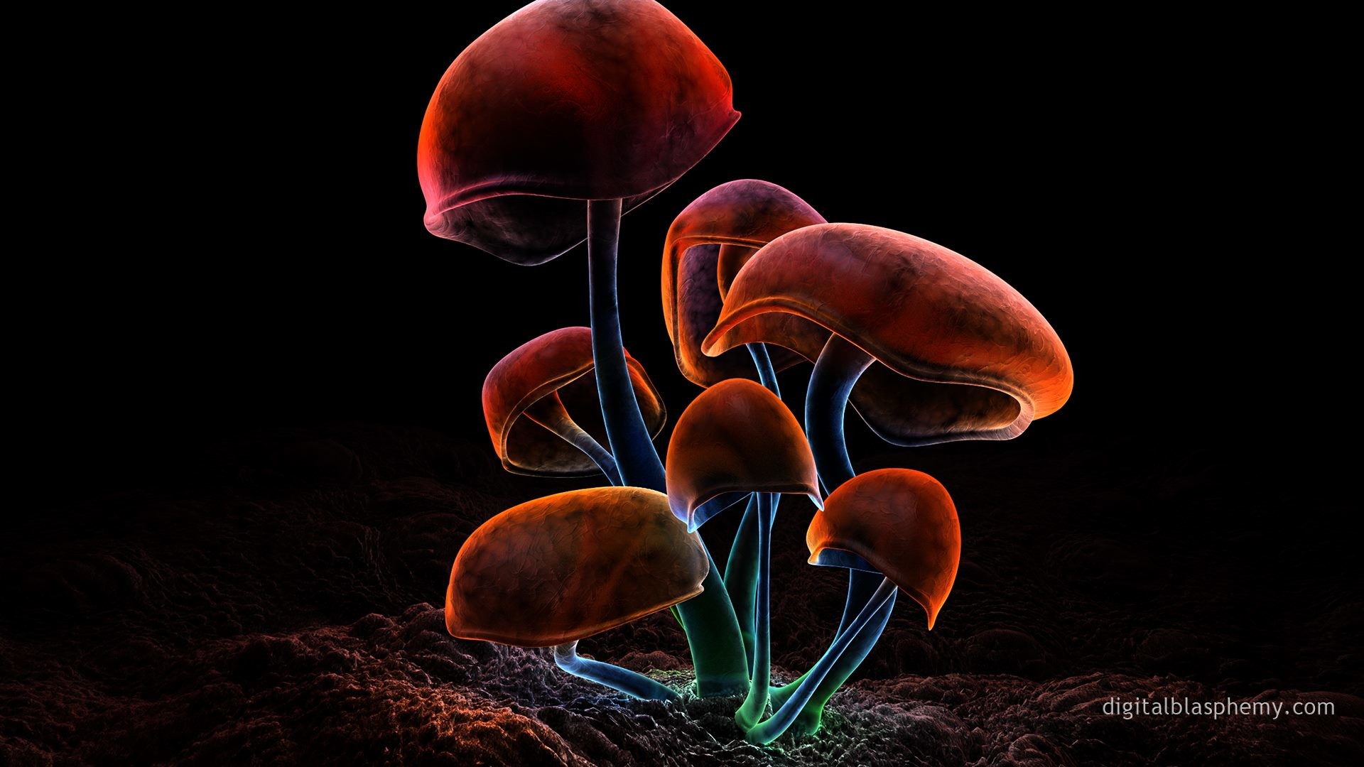 Mushrooms Wallpaper Jpg - Fluorescence Blue Hd - HD Wallpaper 