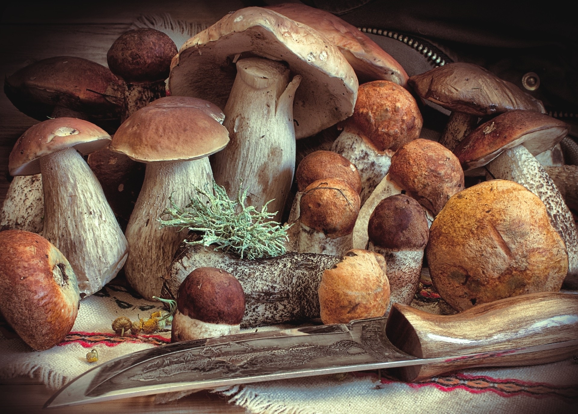 Wallpaper Of Knife, Mushroom, Food Background & Hd - Wallpaper - HD Wallpaper 