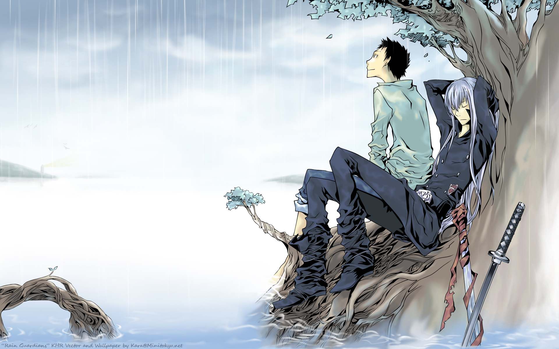 Akira Amano, Artland, Katekyo Hitman Reborn , Superbi - Takeshi Katekyo Hitman Reborn - HD Wallpaper 