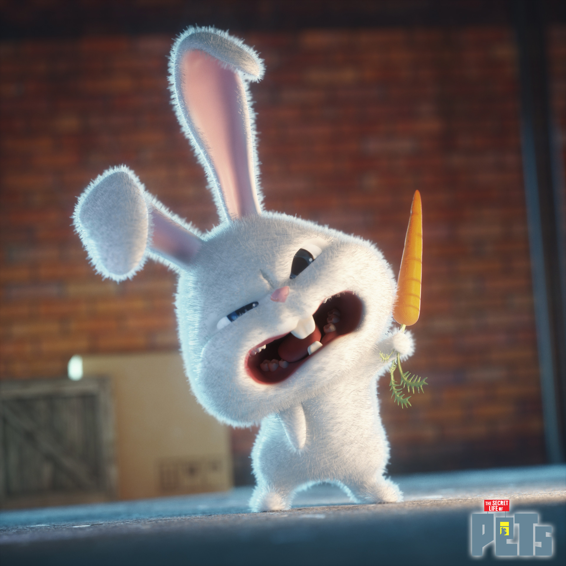 Bunny Snowball Secret Life Of Pets - HD Wallpaper 