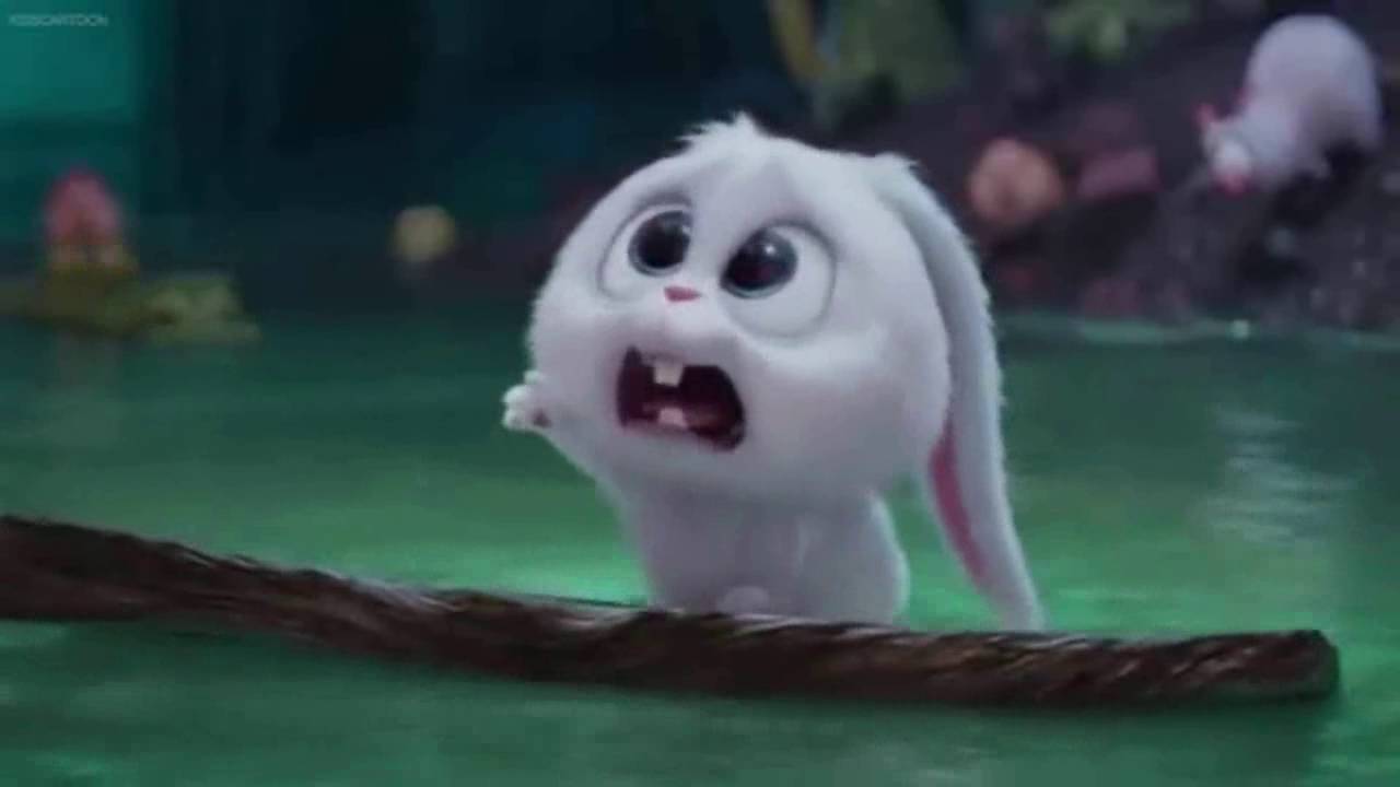 Secret Life Of Pets Snowball Sad - HD Wallpaper 