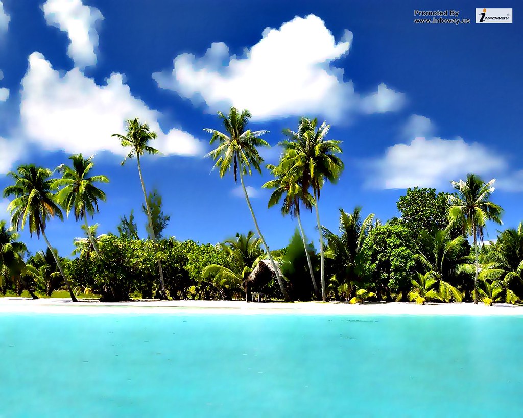 Tropical Meaning In Hindi - HD Wallpaper 