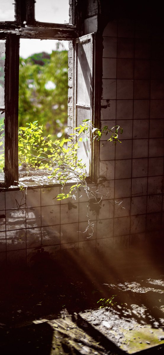 Opened Window - HD Wallpaper 