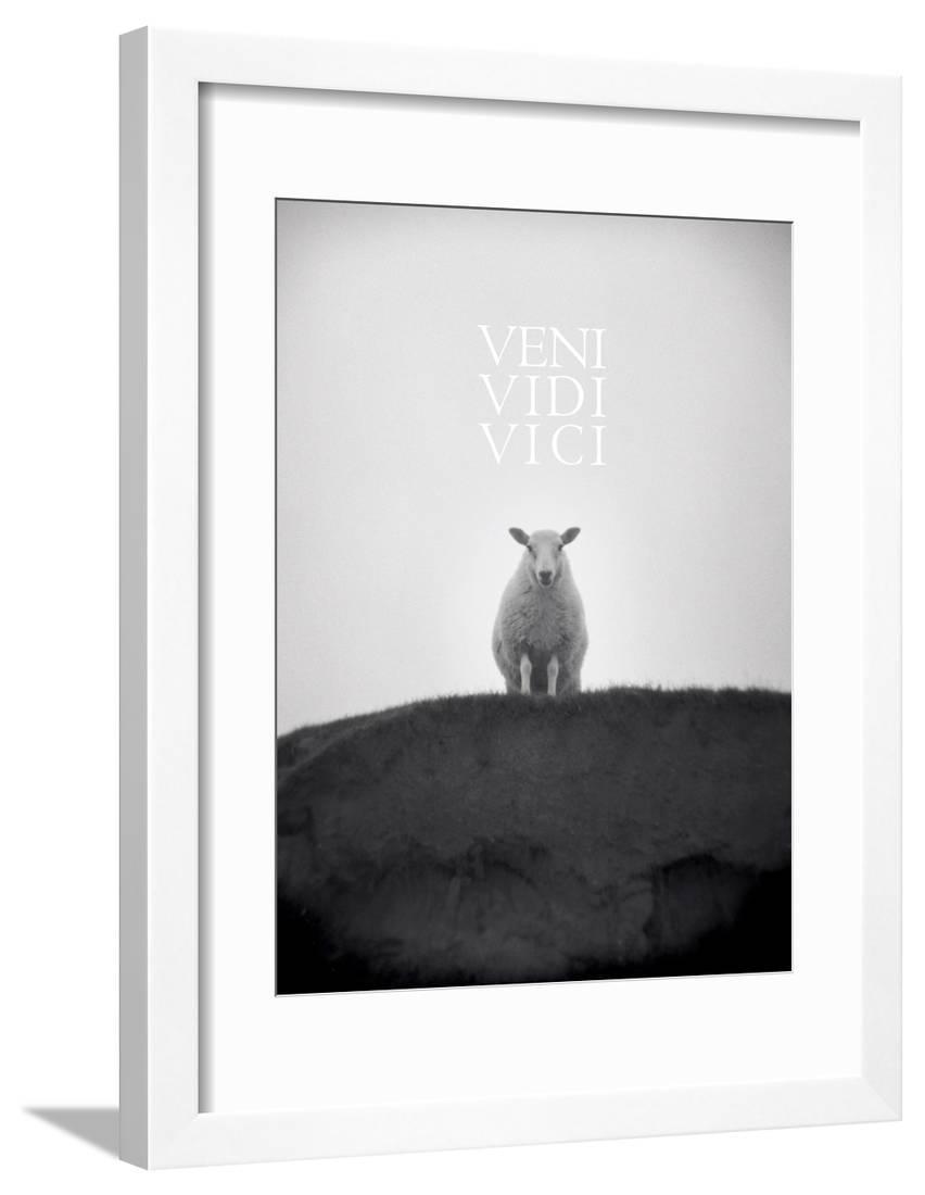 Picture Frame - HD Wallpaper 