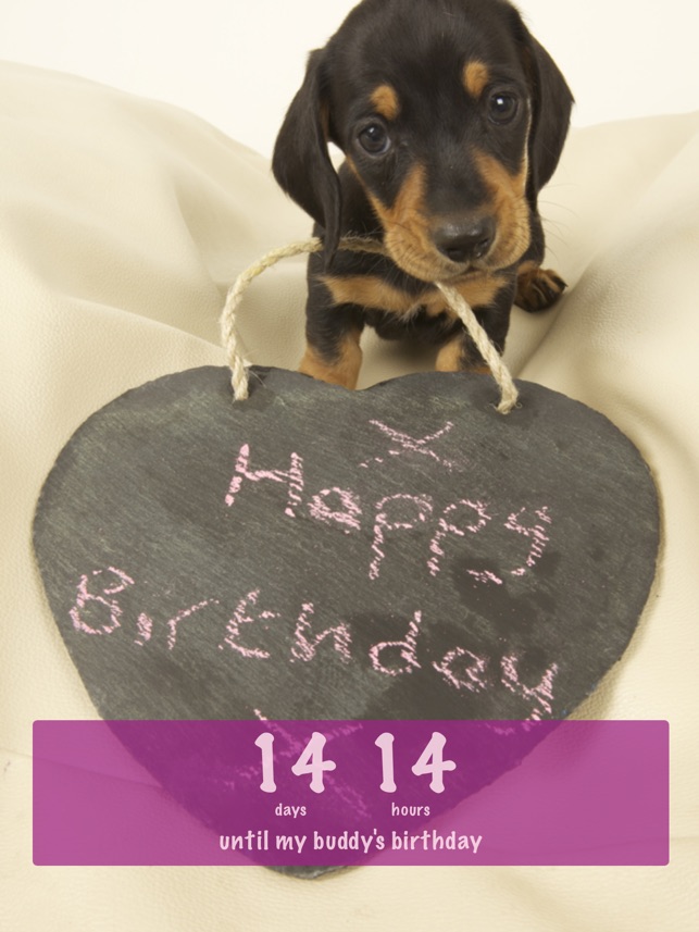 Birthday - HD Wallpaper 