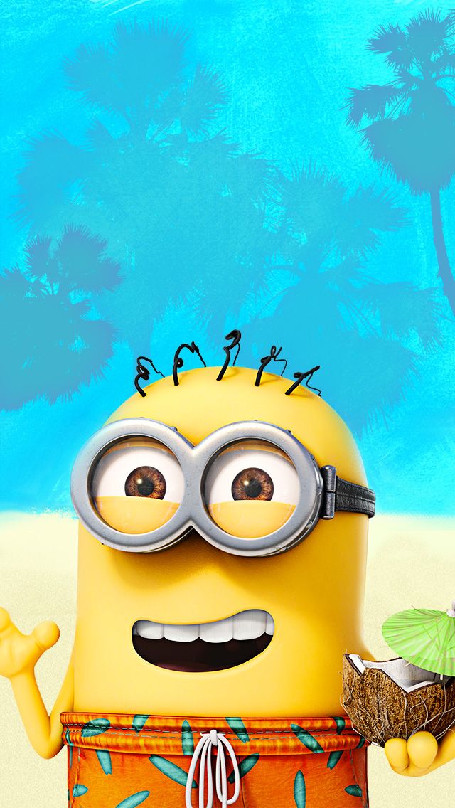 Net, Minion Application, H/2327299290 - Fondos De Pantalla De Minions - HD Wallpaper 