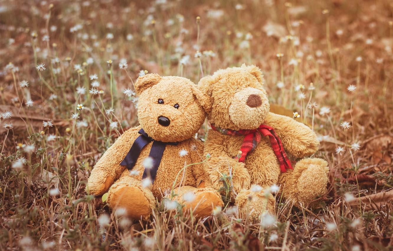 Photo Wallpaper Love, Toy, Bear, Bear, Pair, Love, - Cute Teddy Bear Pairs - HD Wallpaper 