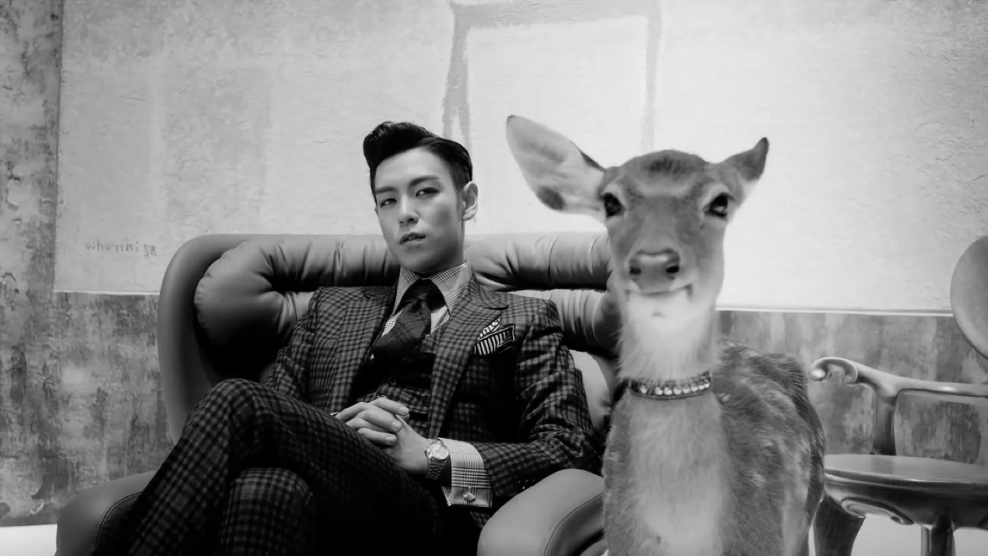 Bigbang Top With Animal - HD Wallpaper 