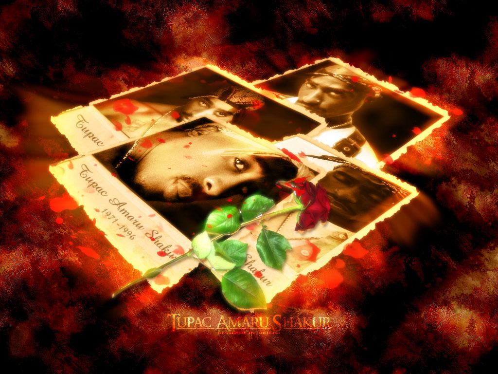 Tupac Shakur - HD Wallpaper 