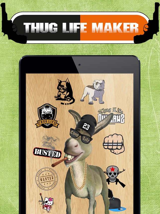 Cartoon - HD Wallpaper 