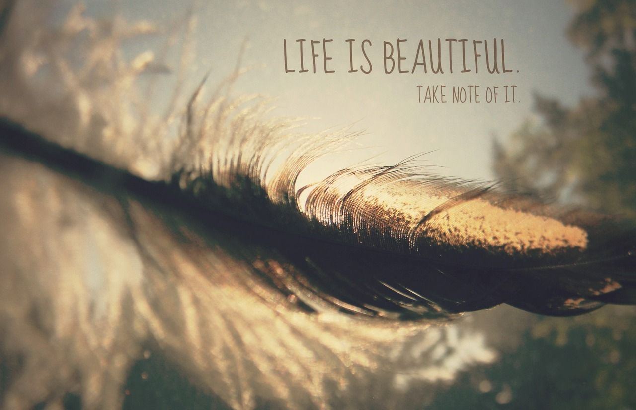 Life Is Beautiful Take Note - HD Wallpaper 