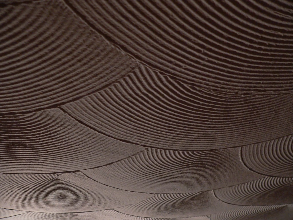 Macro Photography - HD Wallpaper 