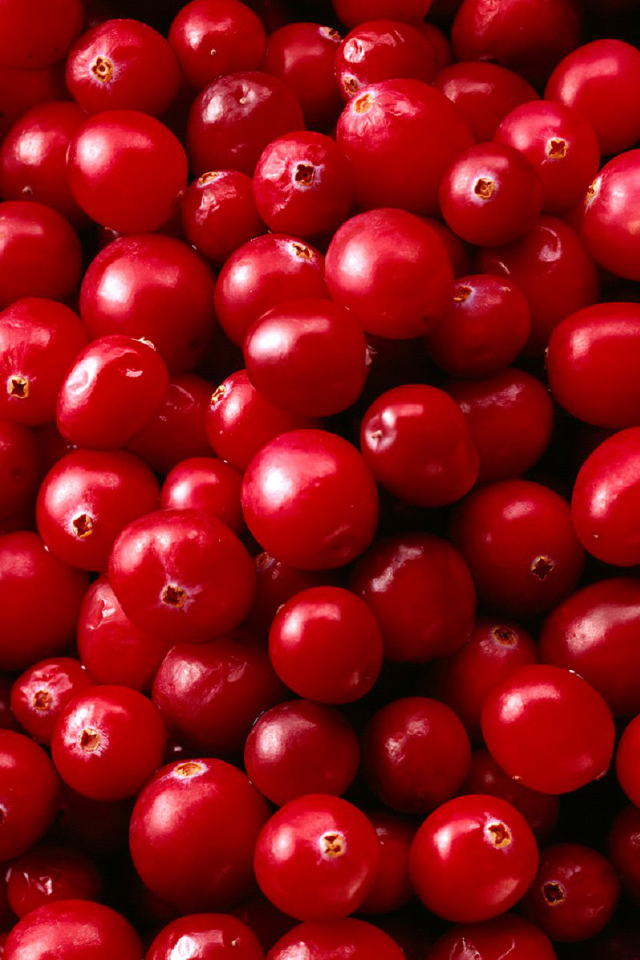 Cranberries - Psalm 72 16 Kjv - HD Wallpaper 
