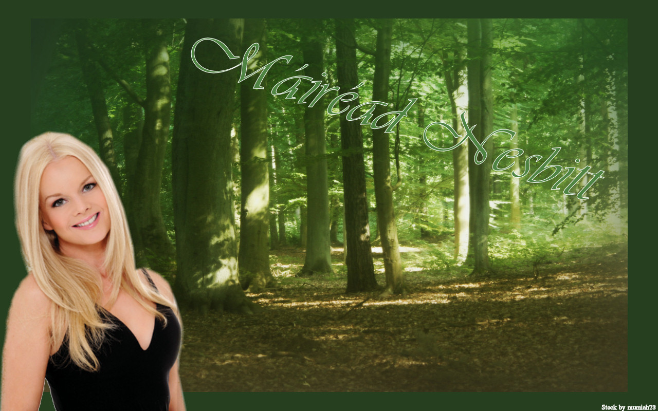Mairead S Enchanted Forest - Mairead Nesbitt - HD Wallpaper 