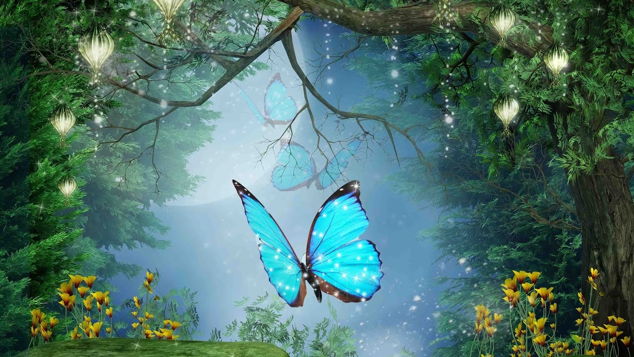 Enchanted Forest - HD Wallpaper 