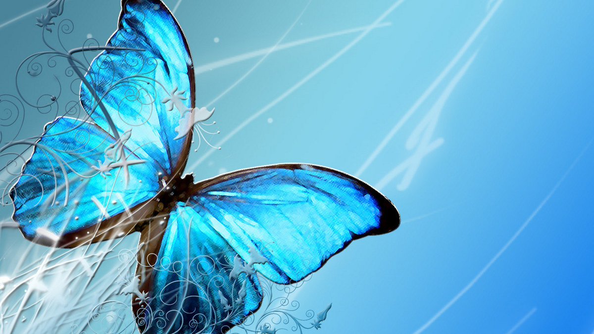 Hd 1024 - HD Wallpaper 