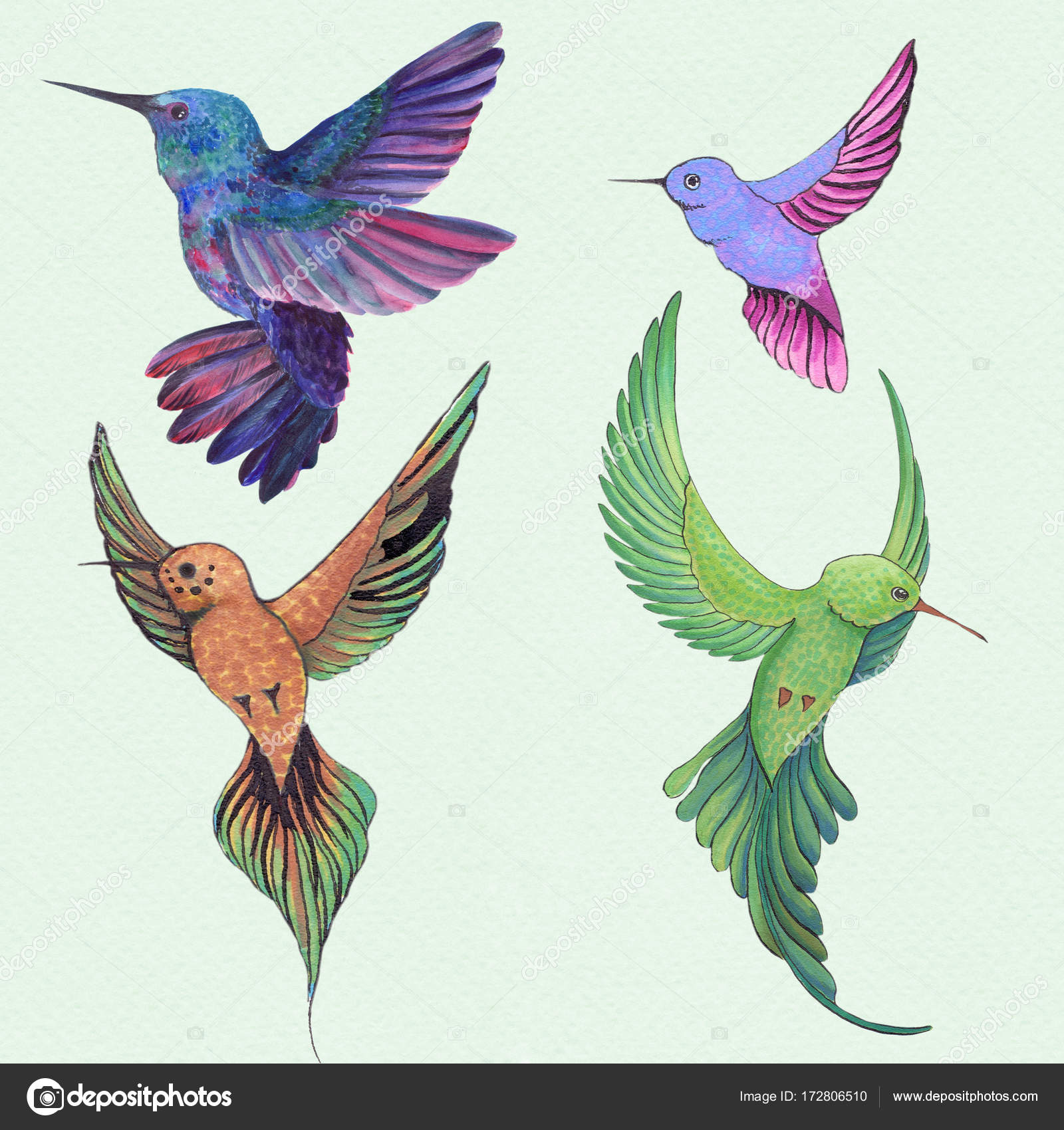 Hummingbirds Drawing - HD Wallpaper 