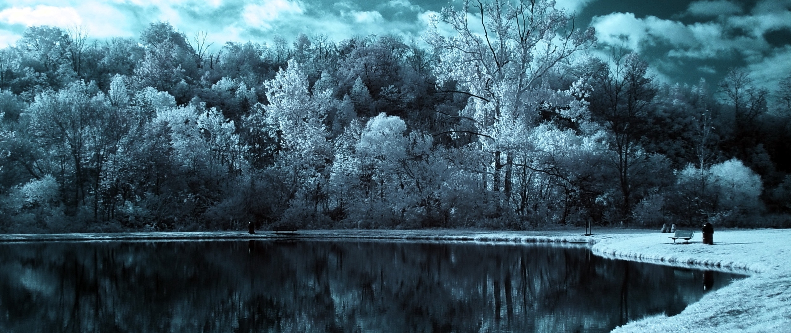 Wallpaper Lake, Trees, Clouds, Dark, Black And White - Dark Winter - HD Wallpaper 