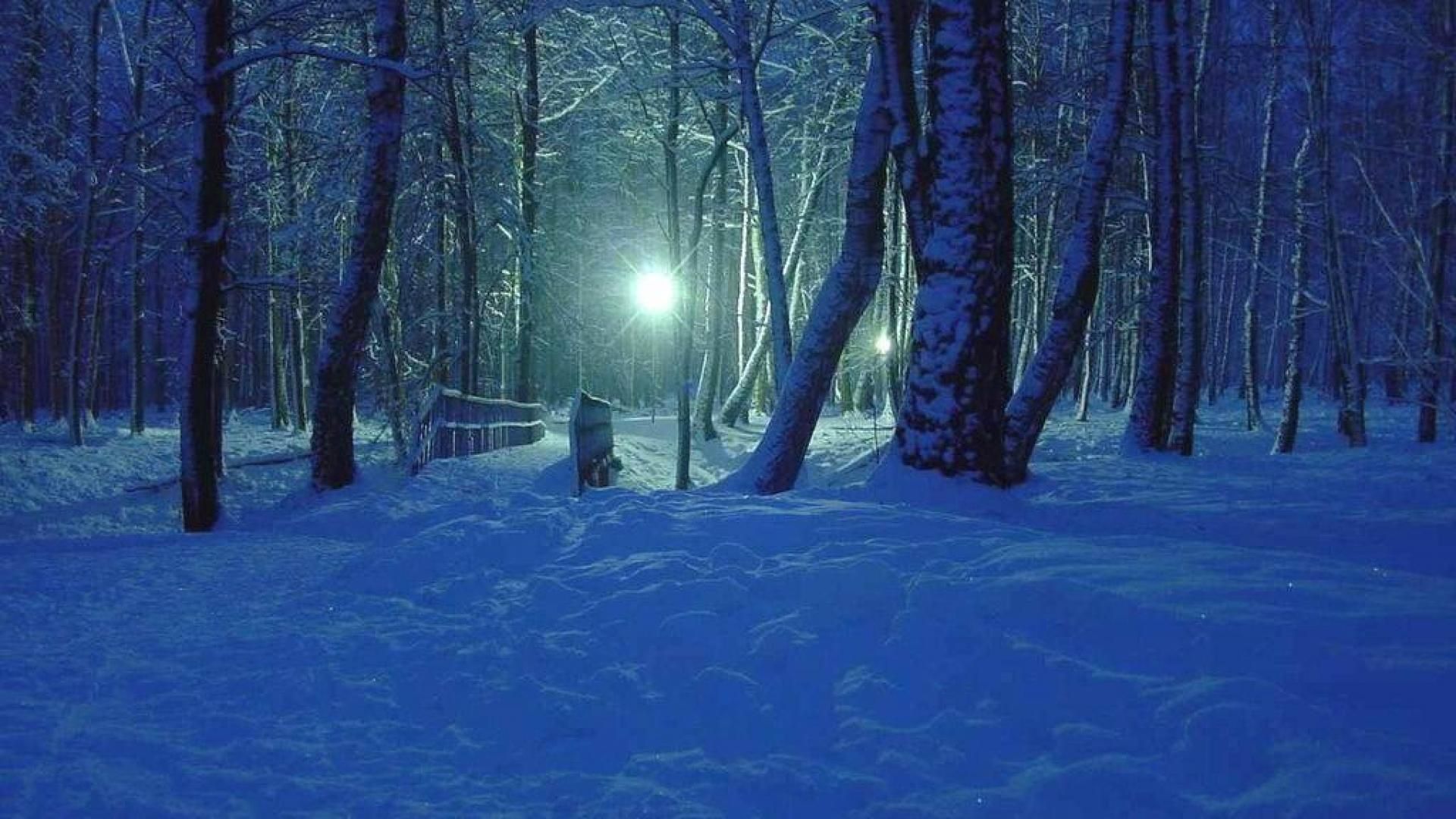 Night Snow Forest Background - HD Wallpaper 