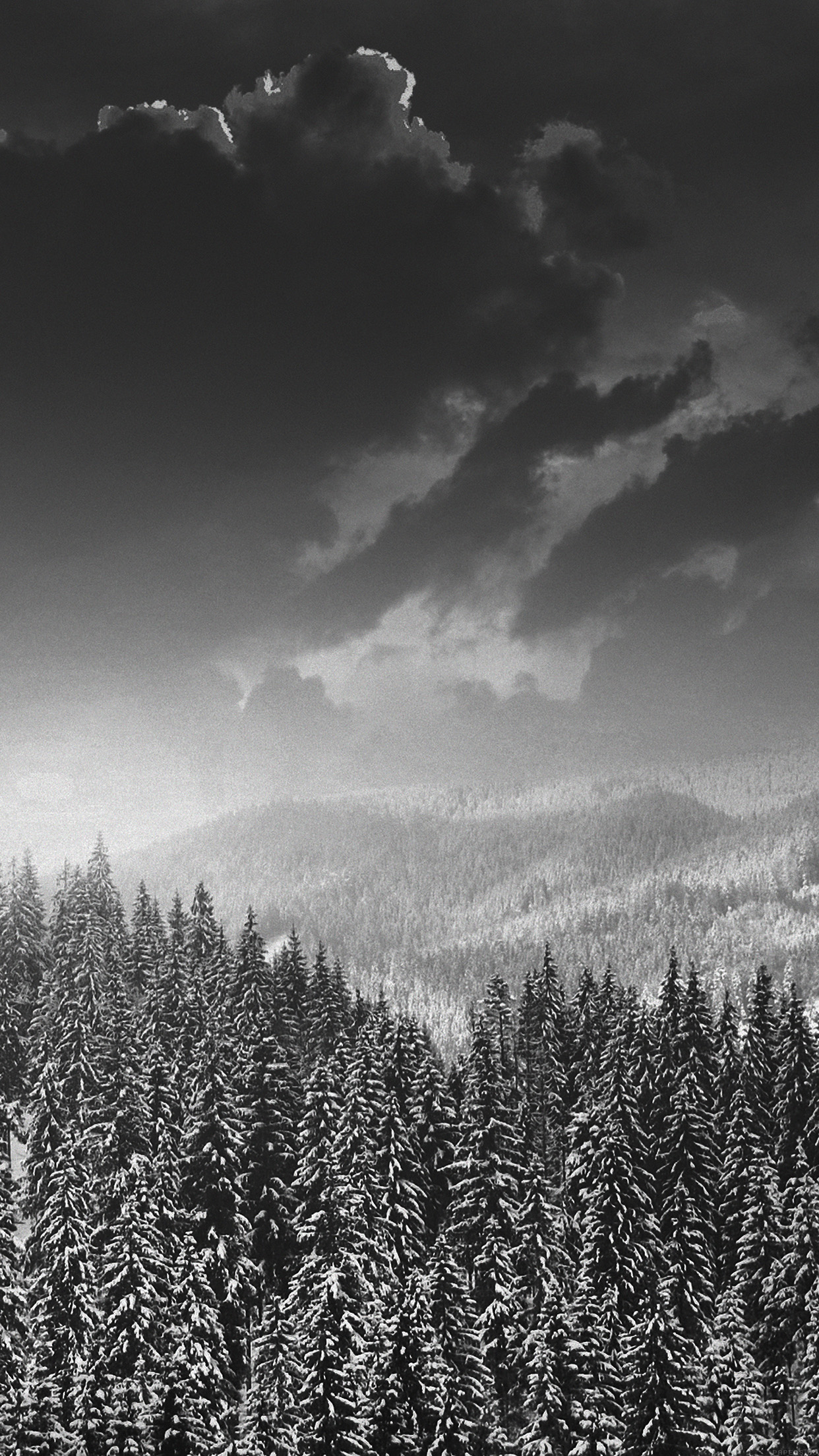 Wallpaper - HD Wallpaper 