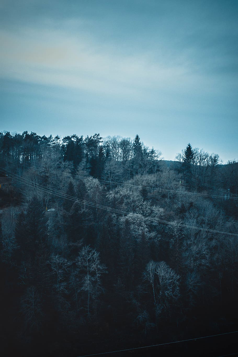 Evening - HD Wallpaper 