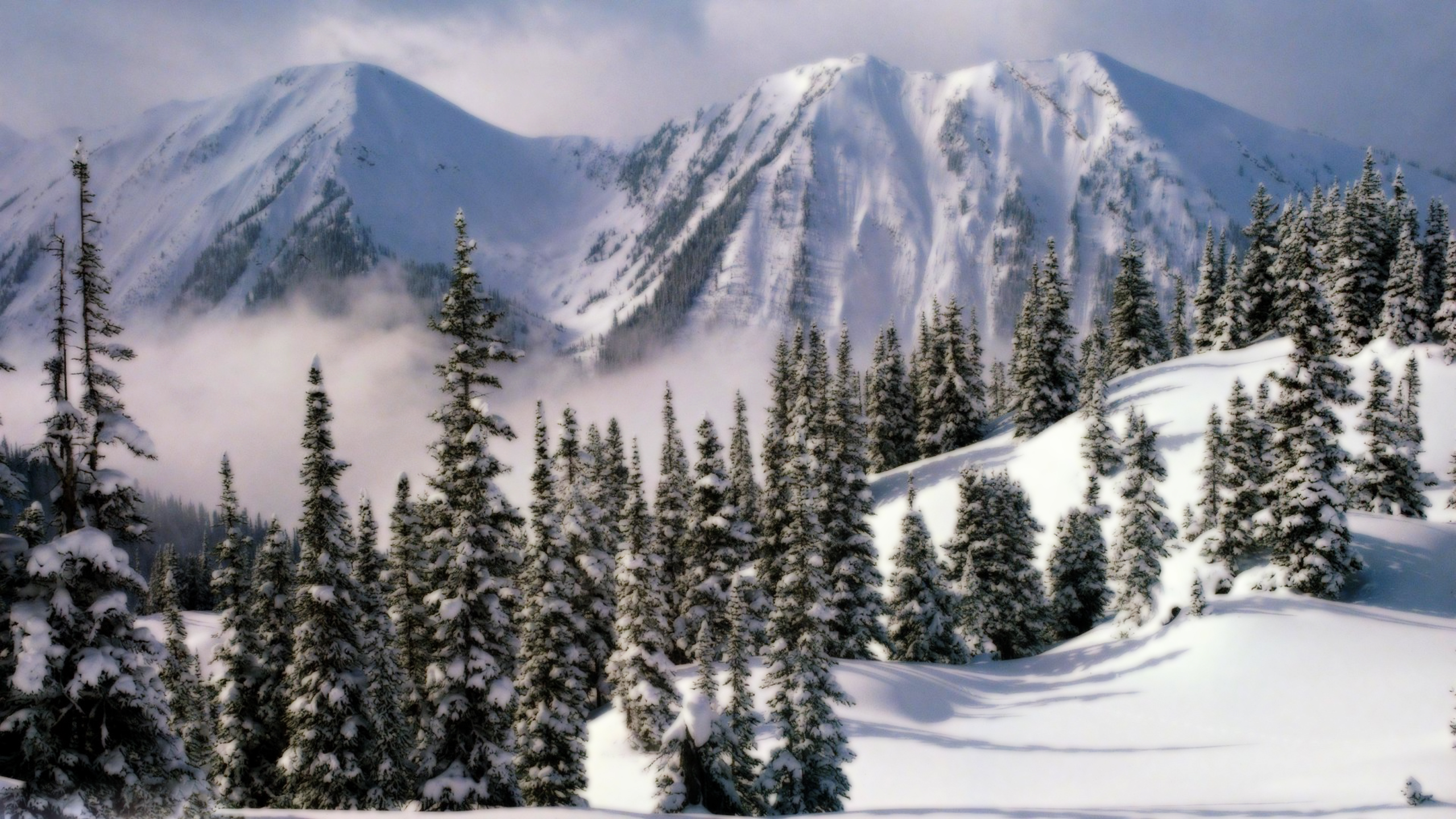 Landscape Of British Columbia In Winter - HD Wallpaper 