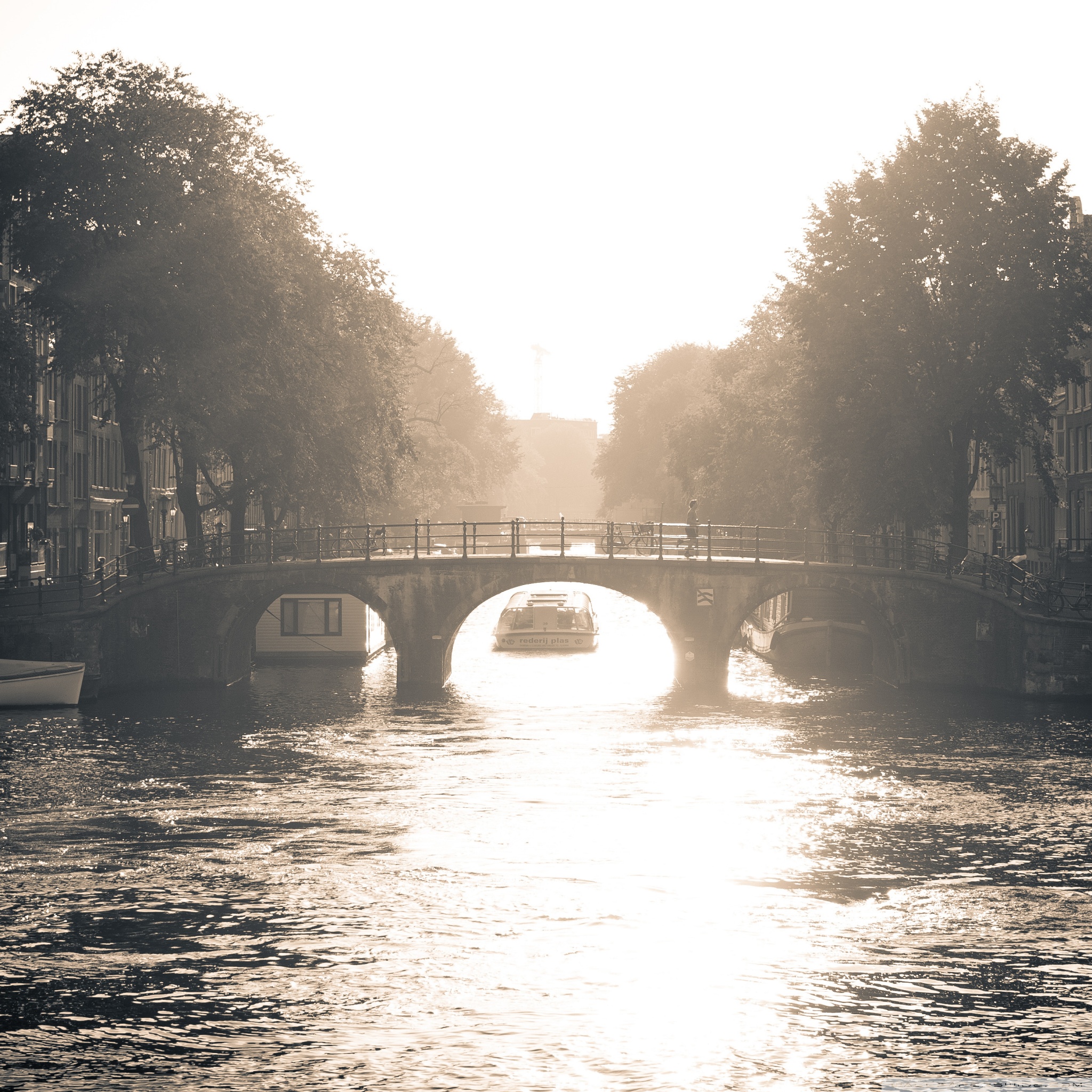 Glorious Wallpaper - HD Wallpaper 