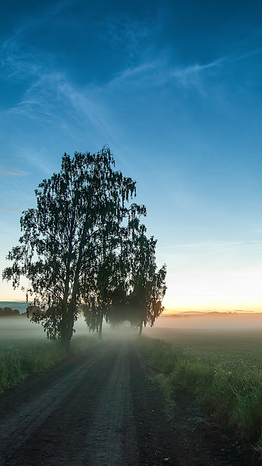 Imagenes De Campos Con Arboles Hd - HD Wallpaper 