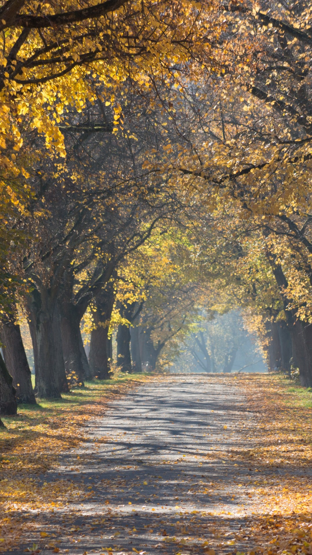 Country Road Facebook Covers - HD Wallpaper 